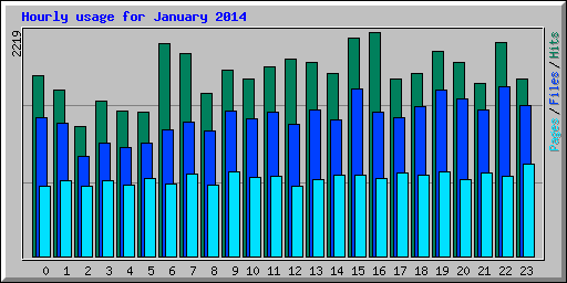 Hourly usage for January 2014