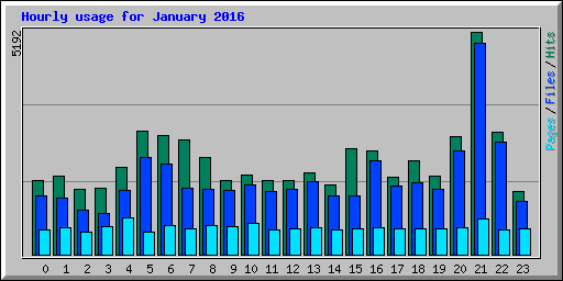 Hourly usage for January 2016