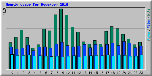 Hourly usage for November 2016