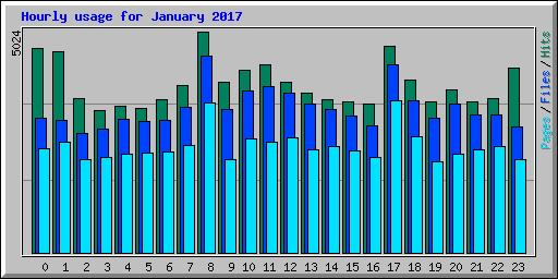 Hourly usage for January 2017