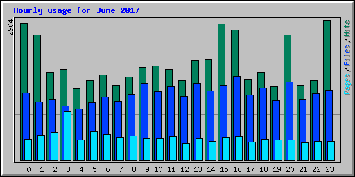 Hourly usage for June 2017